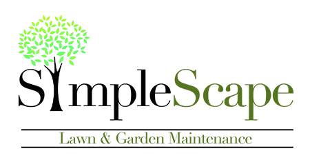 San Diego Lawn Care & Landscaping Services