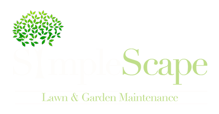 San Diego Lawn Care & Landscaping Services